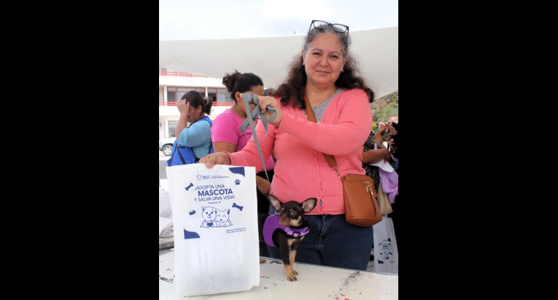 APROVECHA SERVICIOS VETERINARIOS SIN COSTO EN COSÍO, JESÚS MARÍA Y CALVILLO