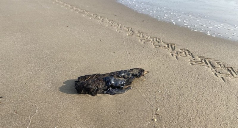 HIDROCARBURO POR DERRAME EN TABASCO LLEGA A TAMAULIPAS