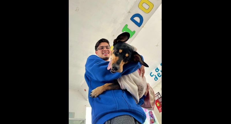 YA VIENE LA NUEVA JORNADA DE ESTERILIZACIÓN DE MASCOTAS EN AGS: DIPUTADA ALMA HILDA 