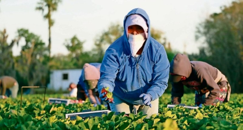 FERTILIZANTES SE DISPARAN HASTA 29% TRAS EL PRIMER MES DE LA GUERRA EN IRÁN