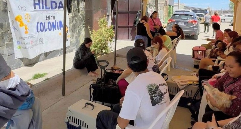 CONTINÚAN EN AGS LAS JORNADAS DE ESTERILIZACIÓN DE PERROS Y GATOS, QUE PROMUEVE ALMA HILDA 