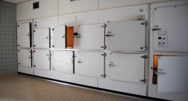 MUEREN PRIMITOS AHOGADOS EN UNA PILETA EN TEPEZALÁ Y HOMBRE QUE SE ACCIDENTÓ EN MOTOCICLETA EN AGS