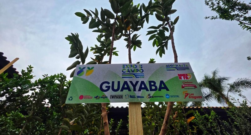 EXPO CAMPO 2026 DE LA FNSM AVANZA PARA LOGRAR GALARDÓN INTERNACIONAL EN SOSTENIBILIDAD