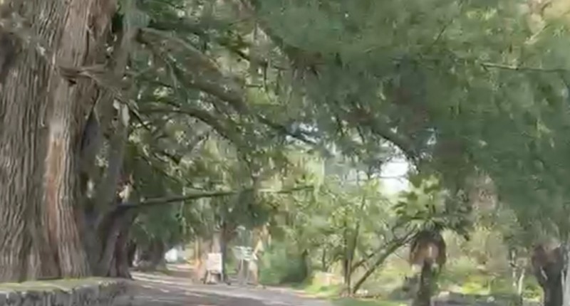 TODO NORMAL EN EL SABINAL, AGUASCALIENTES,  LUEGO DE LAS LLUVIAS ATÍPICAS DEL FIN DE SEMANA PASADO 