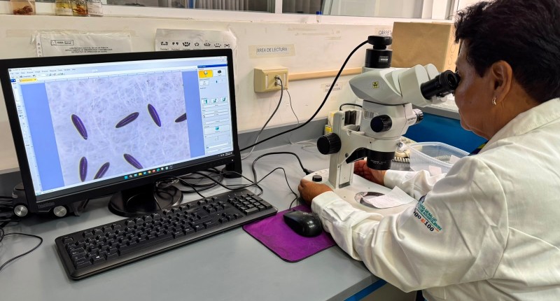 AGUASCALIENTES IMPLEMENTA NUEVA ESTRATEGIA PARA COMBATIR EL DENGUE