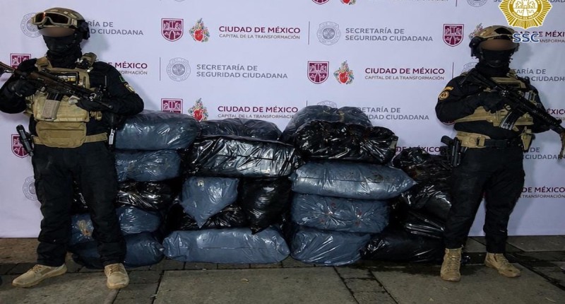 ASEGURAN MEDIA TONELADA DE APARENTE MARIHUANA DURANTE CATEO EN LA GAM, EN LA CDMX