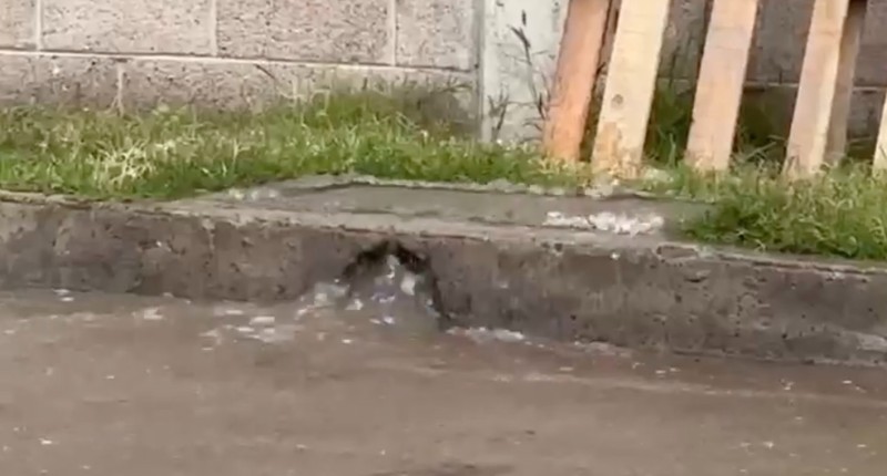 DENUNCIAN CUANTIOSA FUGA DE AGUA EN ÁREA DE DESCARGA DEL WALMART DE MAHATMA GANDHI, AGUASCALIENTES