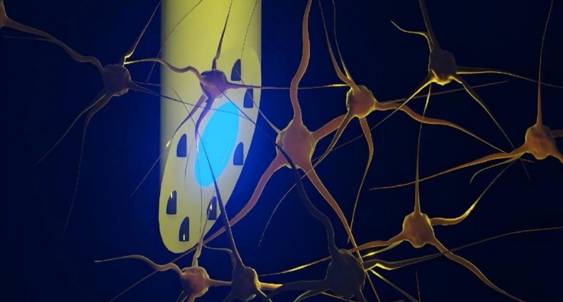 CIENTÍFICOS CREAN UN IMPLANTE CEREBRAL MULTIFUNCIONAL Y DEL GROSOR DE UNA AGUJA CAPAZ DE REALIZAR 3 FUNCIONES A LA VEZ