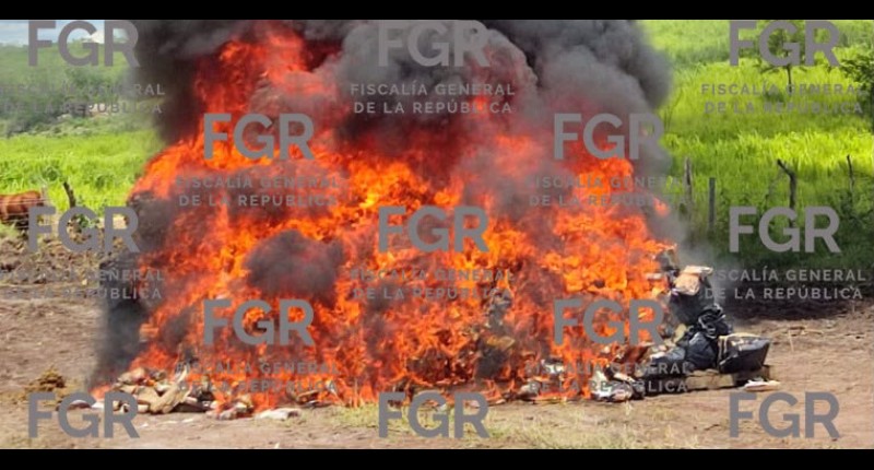 FGR INCINERA EN COLIMA  MÁS DE TRES TONELADAS DE NARCÓTICOS Y GOLPEA LAS FINANZAS DEL CRIMEN ORGANIZADO POR MÁS DE 648 MILLONES DE PESOS
