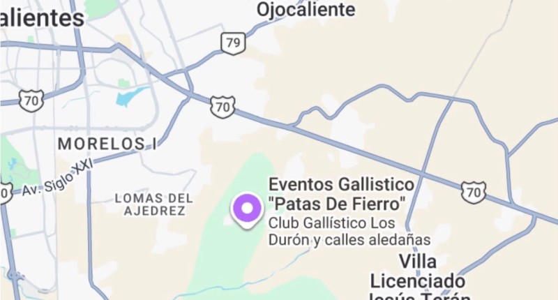 OCHO DETENIDOS TRAS RIÑA EN UN PALENQUE POR LOMAS DEL AJEDREZ, EN AGS